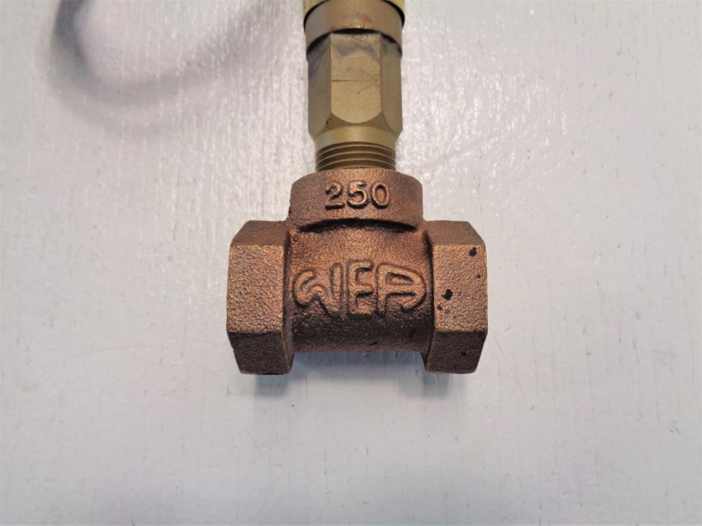 W.E. Anderson 1/2" NPT Bronze Flotect Flow Switch V6EPBBS1B